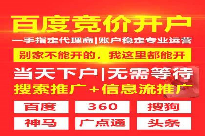 某企业SEM推广策略的调整与效果提升